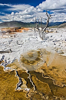 Famous geothermal place near Mamoth Hot springs, Yellowstone NP photo
