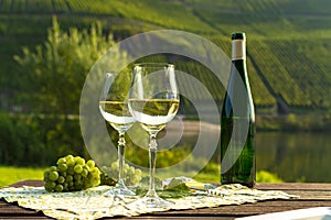 Famous German quality white wine riesling, produced in Mosel wine regio from white grapes growing on slopes of hills in Mosel