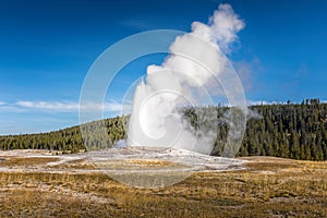 The famous geyser Old Faithful in the Yellowstone National Park