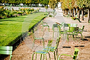 Green chairs at Tuileries gardens in Paris photo