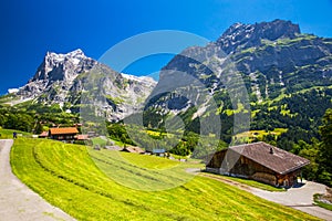 Famous Grindelwald valley, green forest, Alps chalets in Berner Oberland, Switzerland photo