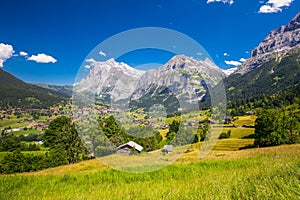 Famous Grindelwald valley, green forest, Alps chalets and Swiss Alps, Berner Oberland, Switzerland