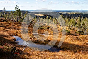 Famous hanging bogs in autumnal Riisitunturi National Park photo