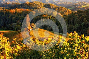 Famous heart shaped wine road in Slovenia, scenic view from Spicnik near Maribor. Amazing autumn landscape, vineyard hills