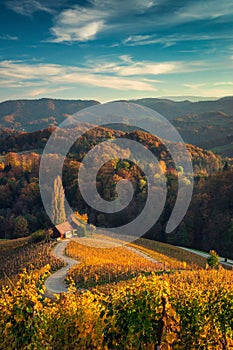Famous Heart shaped wine road in Slovenia, view from Spicnik ne