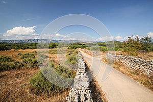 Famous historic agricultural Greek plain at Stari Grad on Hvar island