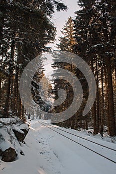 Famous and historic Brockenbahn in the forest at Harz Mountains National Park, Germany