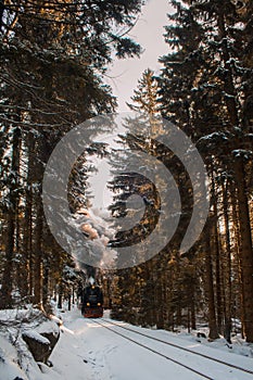 Famous and historic Brockenbahn in the forest at Harz Mountains National Park, Germany