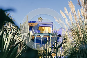 Famous historical Jardin Majorelle museum in Marrakesh, Morocco with a botanical garden photo