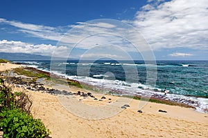 Famous Hookipa beach, popular surfing spot filled with a white sand beach, picnic areas and pavilions. Maui, Hawaii