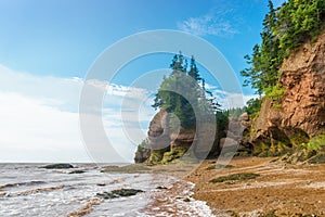 Famous Hopewell Rocks flowerpot formations at low tide