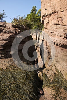 Famous Hopewell Rocks geologigal formations at low tide biggest tidal wave Fundy Bay New Brunswick Canada