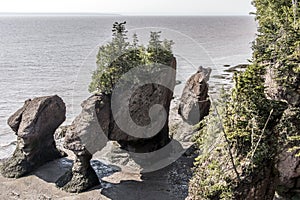 Famous Hopewell Rocks geologigal formations at low tide biggest tidal wave Fundy Bay New Brunswick Canada