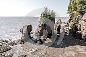 Famous Hopewell Rocks geologigal formations at low tide biggest tidal wave Fundy Bay New Brunswick Canada