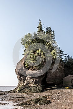 Famous Hopewell Rocks geologigal formations at low tide biggest tidal wave Fundy Bay New Brunswick Canada