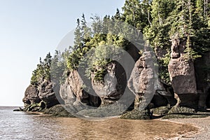 Famous Hopewell Rocks geologigal formations at low tide biggest tidal wave Fundy Bay New Brunswick Canada