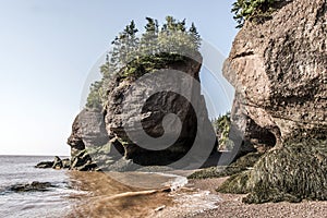 Famous Hopewell Rocks geologigal formations at low tide biggest tidal wave Fundy Bay New Brunswick Canada