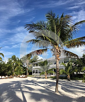 Famous House in Islamorada Miami
