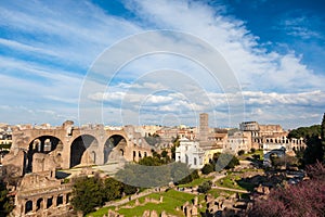 Famous italian landmark: the ancient Roman Forum (Foro Romano) w