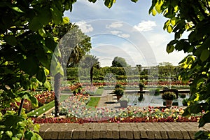 The famous Kensington Gardens, one the Royal Parks of London, England photo