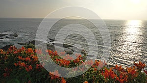 Famous Laguna Beach California scenic landscapes and plants