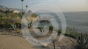 Famous Laguna Beach California scenic landscapes and plants