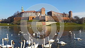 Famous landmark Wawel castle seen from Vistula