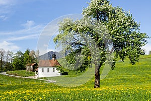 Famous lawn of the federal pact