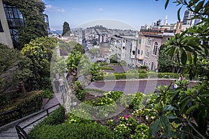 Famous Lombard Street in San Francisco