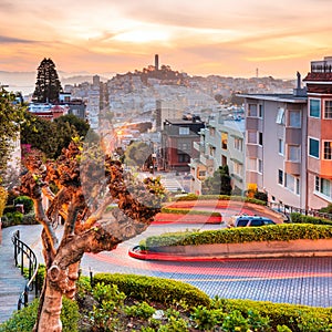 Famous Lombard Street in San Francisco