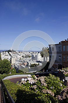 The famous Lombard Street in San Francisco
