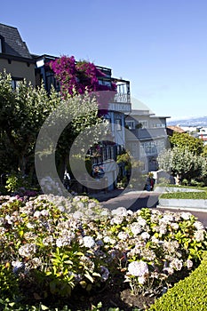 The famous Lombard Street in San Francisco