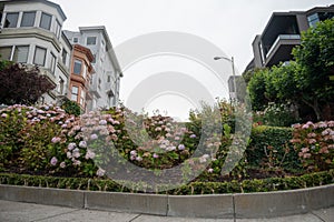 Famous Lombard street. San Francisco, California, USA