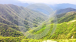 Famous Matcha (Green Tea) Mountain, Shengmu Hiking Trail (Marian Hiking Trail),