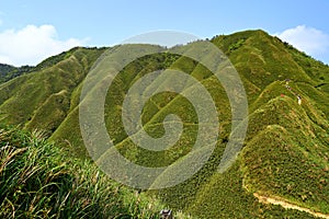 Famous Matcha Green Tea Mountain, Shengmu Hiking Trail Marian Hiking Trail, Jiaoxi, Yilan