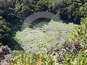 Famous Mauritius tourist place- volcano crater Trou aux Cerfs- panorama photo