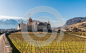 Famous medieval Aigle Castle and vineyard in the spring. Switzerland