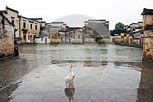 The famous moon pond in ancient Hongcun village, china