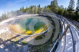 Famous Morning Glory Geyser in Yellowstone National Park, in fisheye lens