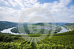 Famous Moselle river loop in Trittenheim, Germany