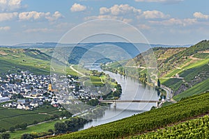 Famous Moselle Sinuosity with vineyards