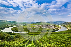 Famous Moselle Sinuosity with vineyards