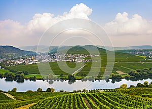 Famous Moselle Sinuosity with vineyards