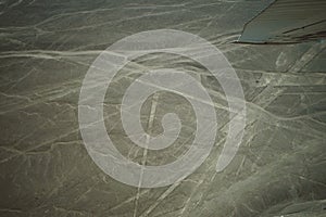 The famous Nazca Lines in Peru, here you can see the figure of a parrot.