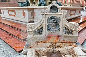 Famous Neptune fountain detail in Bologna, Italy photo