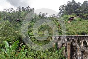 The famous nine-arch bridge of the railway in the jungle in Sri Lanka