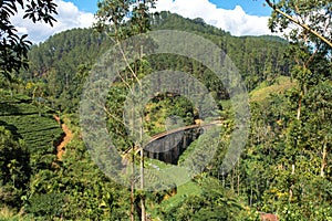 The famous nine-arch bridge of the railway in the jungle in Sri Lanka