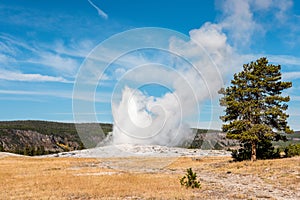 Famous Old Faithful geyser erupting, Yellowstone National Park