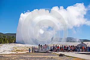 Famous Old Faithful Geyser in Yellowstone National Park, USA