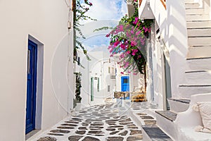 Famous old town narrow street with white houses and Bougainvillea flower. Mykonos island, Greece